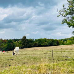 22-09-10 16-15-44 1937